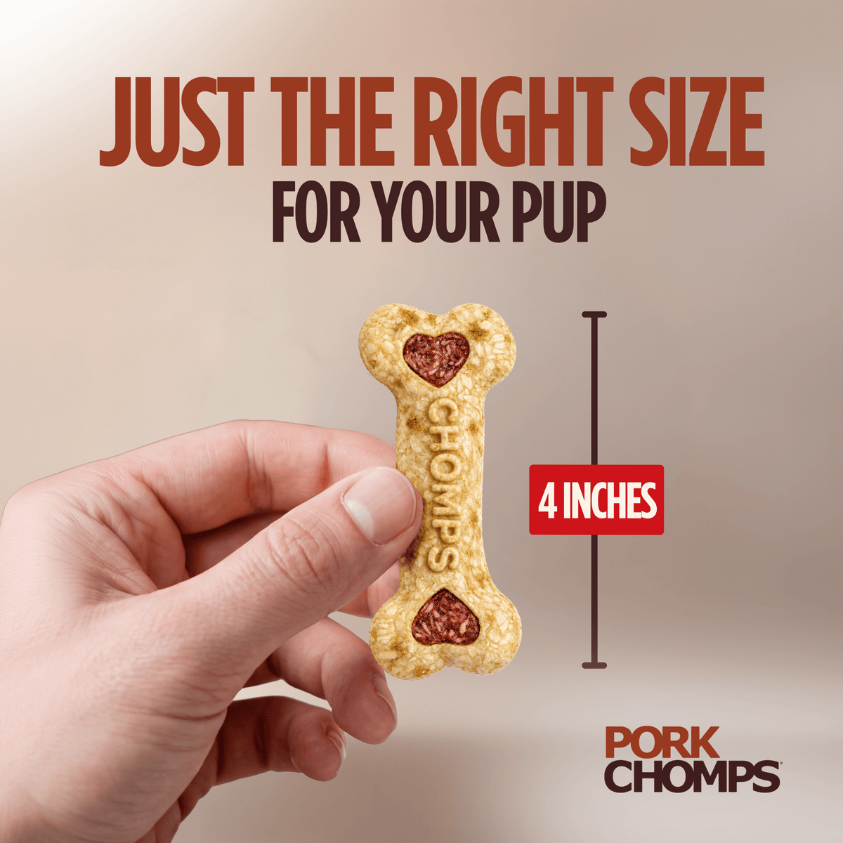 Pork Chomps - 4" Assorted Bacon & Chicken Flavor Crunchy Bone - 12 Count