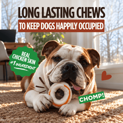 Pork Chomps - 2.5" Pressed Rings with Real Chicken - 8 Count