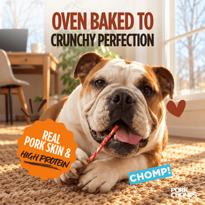 Pork Chomps - 4-5" Assorted Natural, Beef & Chicken Flavor Munchy Sticks