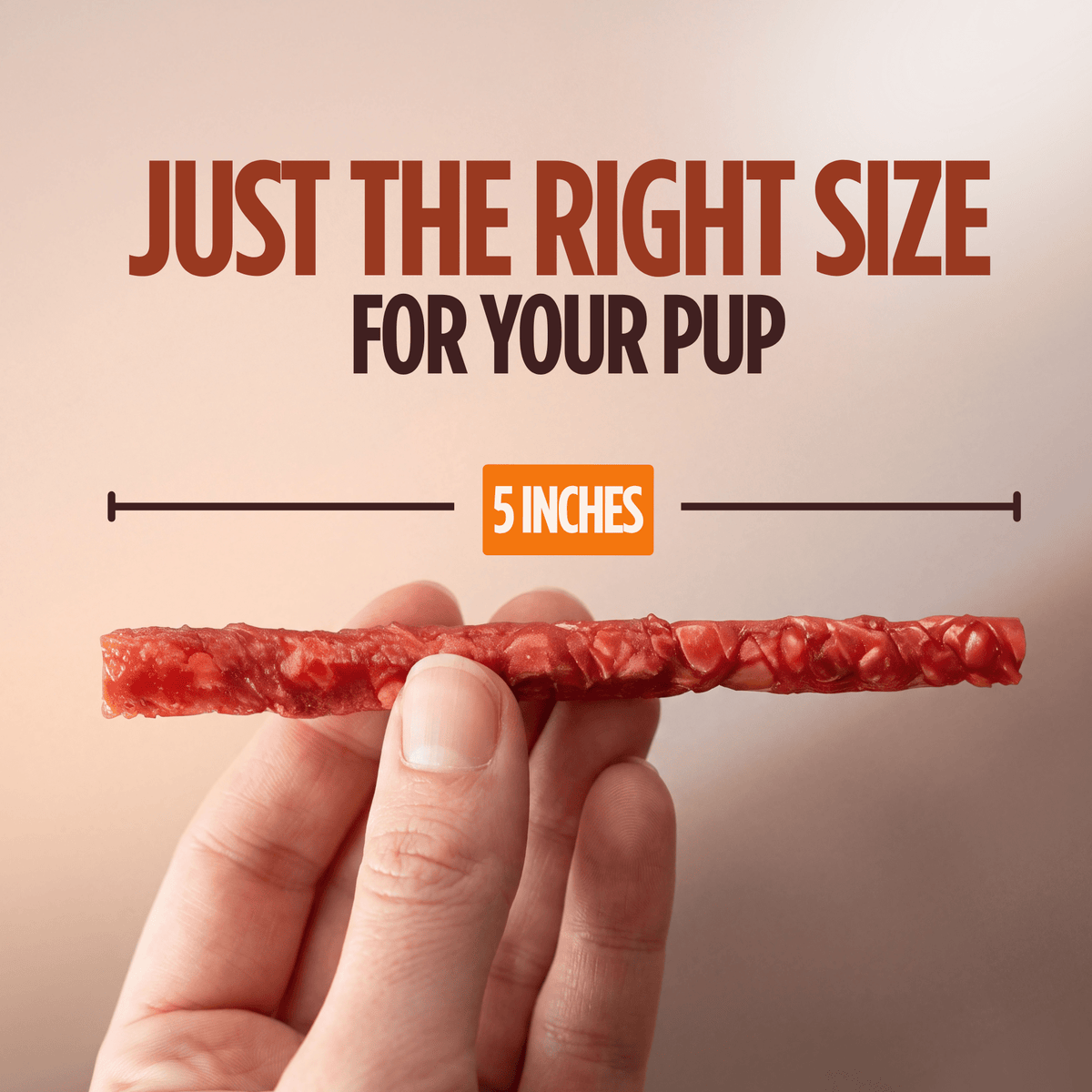Pork Chomps - 4-5" Assorted Natural, Beef & Chicken Flavor Munchy Sticks - 100 Count